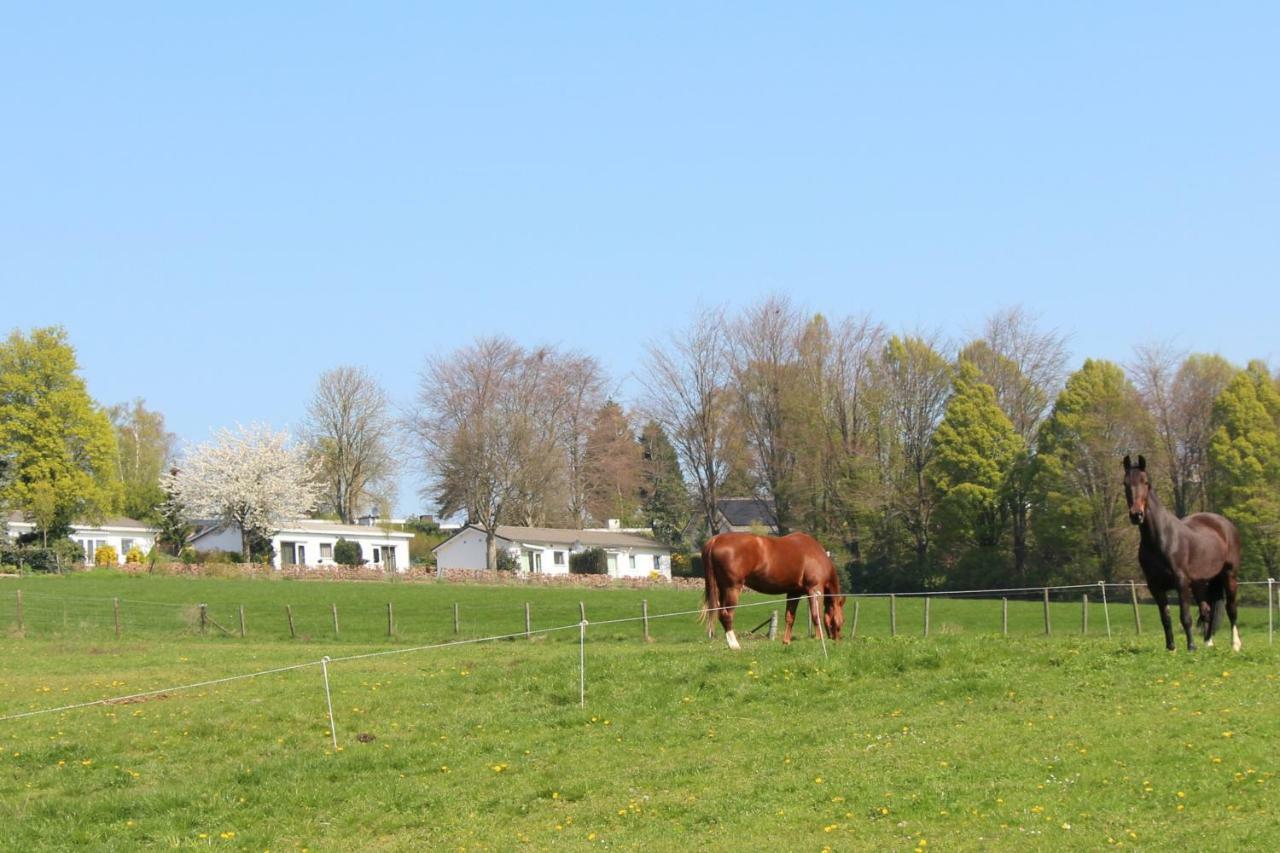 Domein Hellebeuk Met Uitzicht! Valkenburg/Klimmen Dış mekan fotoğraf