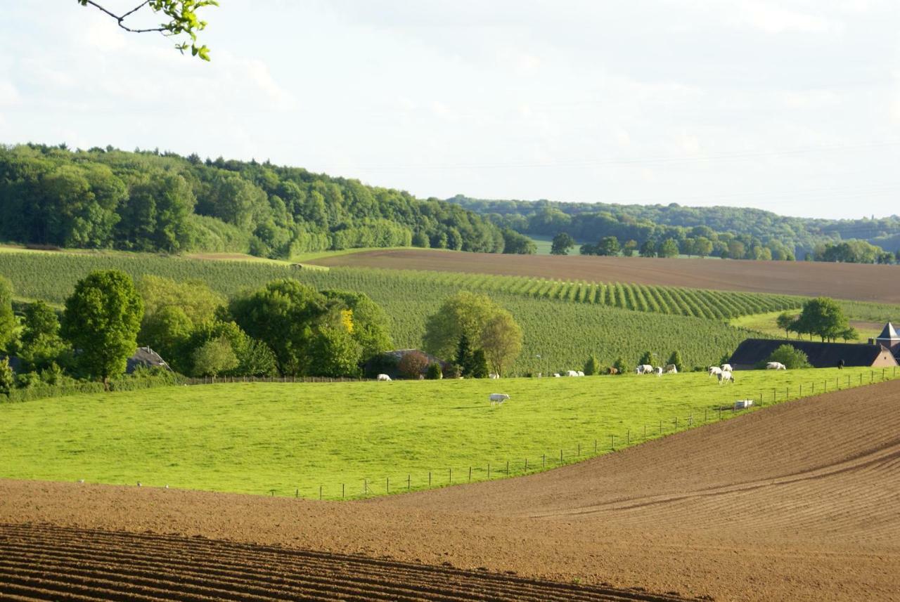 Domein Hellebeuk Met Uitzicht! Valkenburg/Klimmen Dış mekan fotoğraf